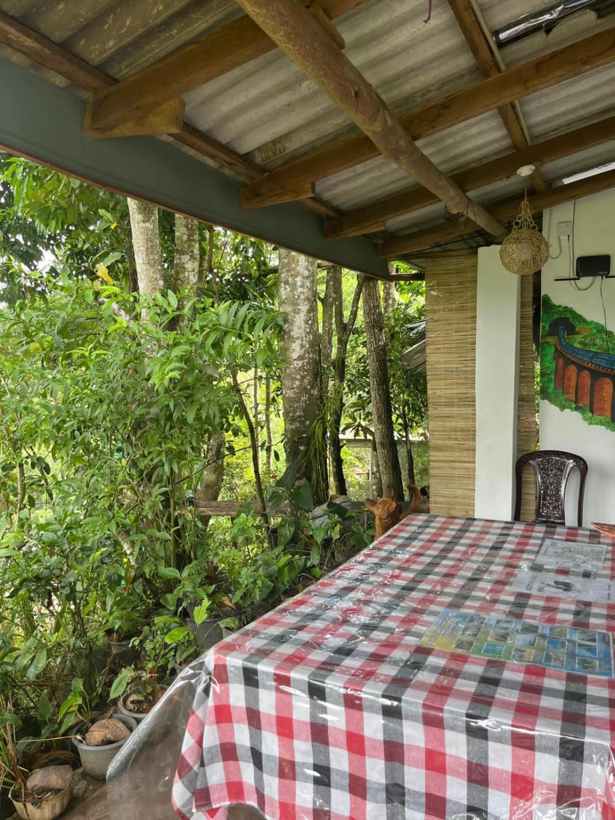 Himansa Homestay Ella Exteriér fotografie