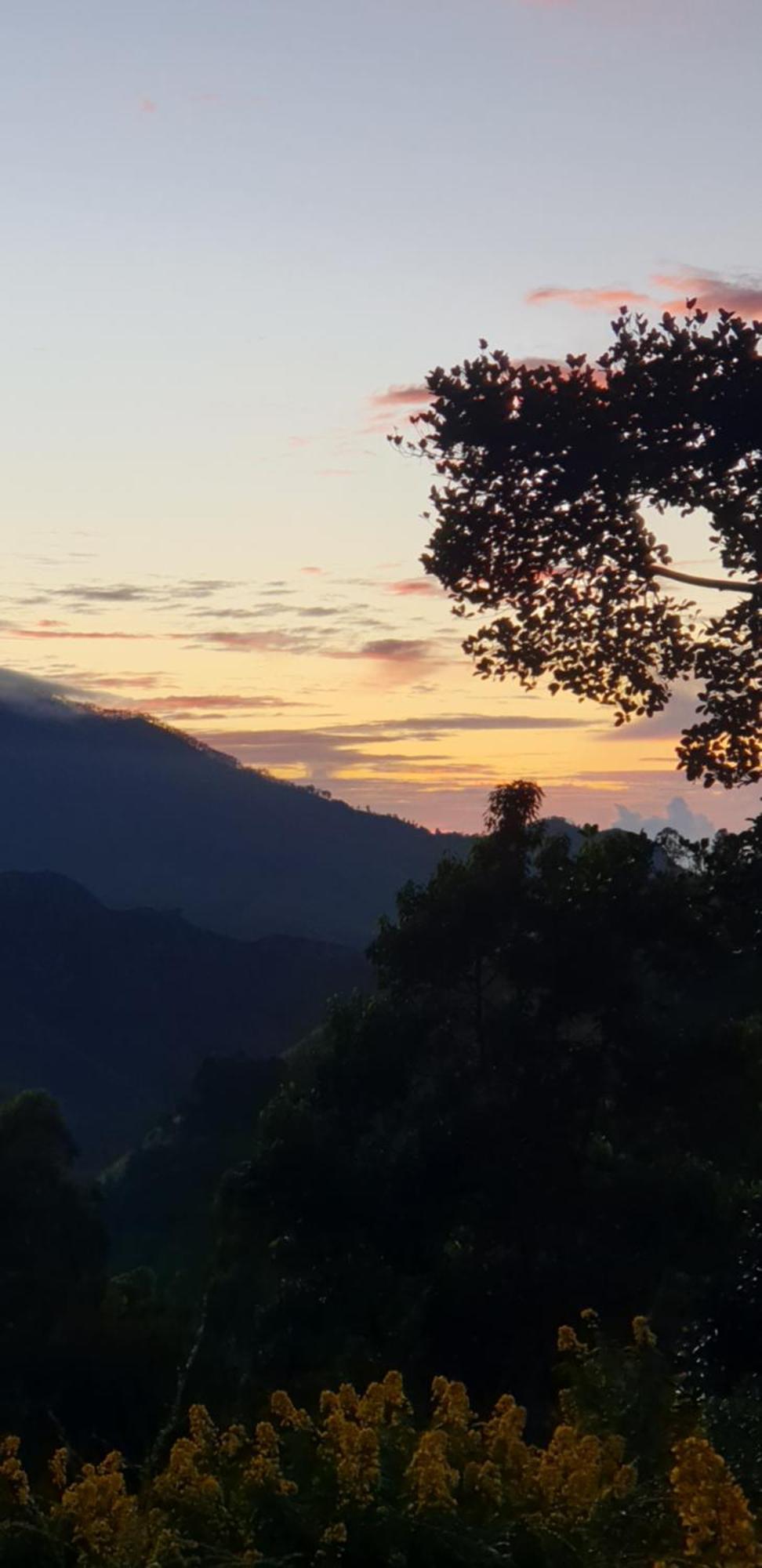Himansa Homestay Ella Exteriér fotografie