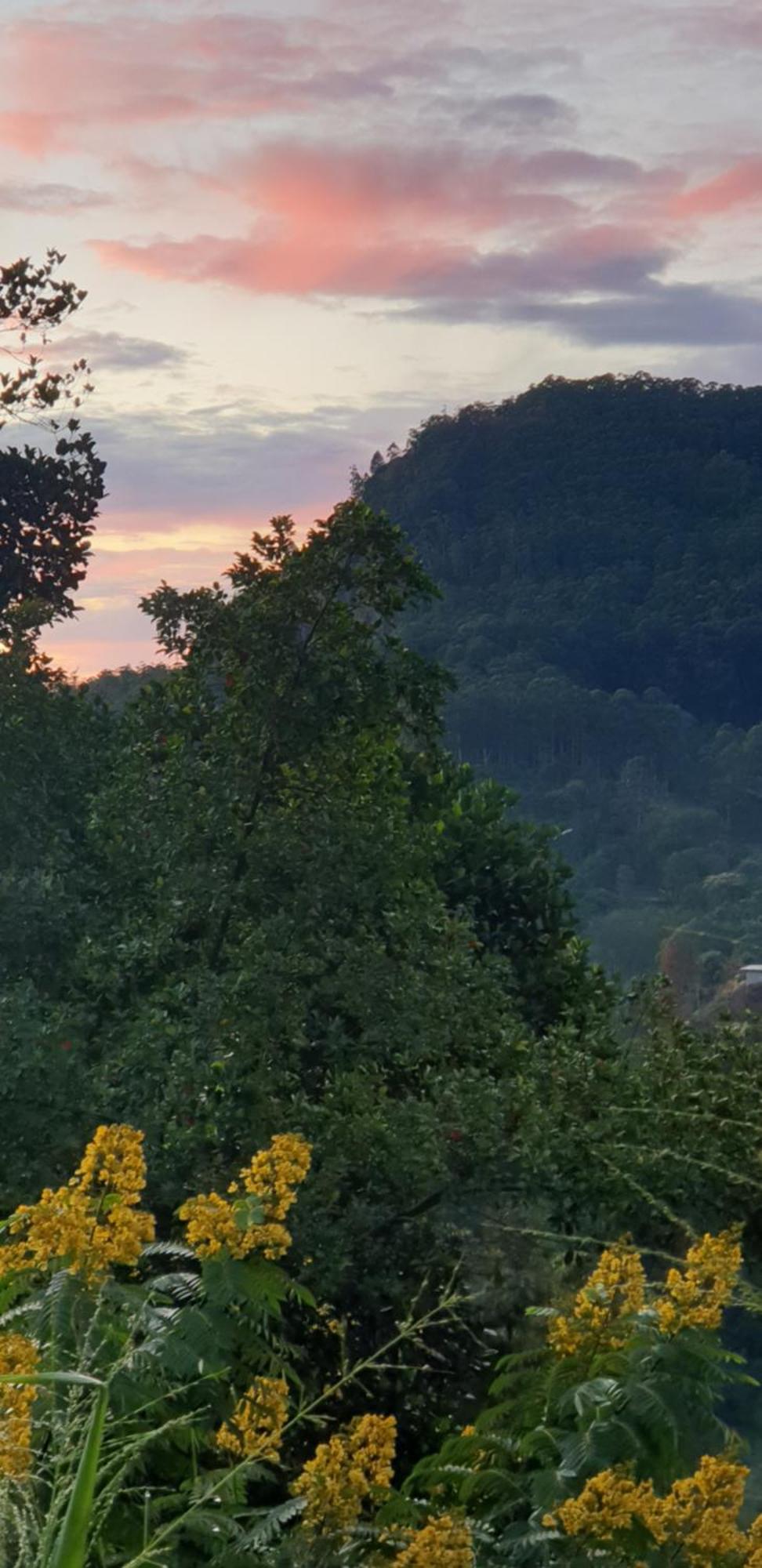 Himansa Homestay Ella Exteriér fotografie