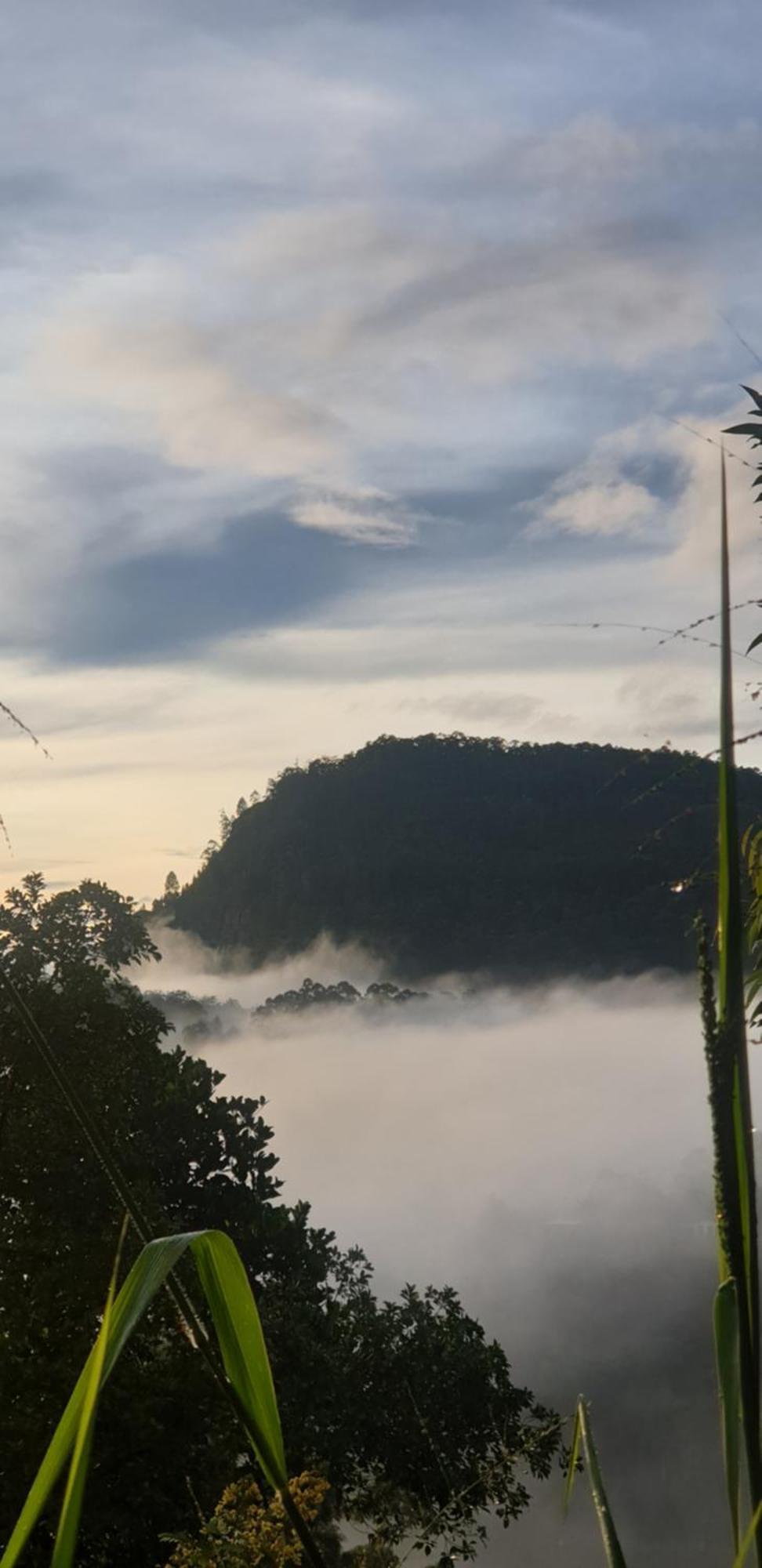 Himansa Homestay Ella Exteriér fotografie