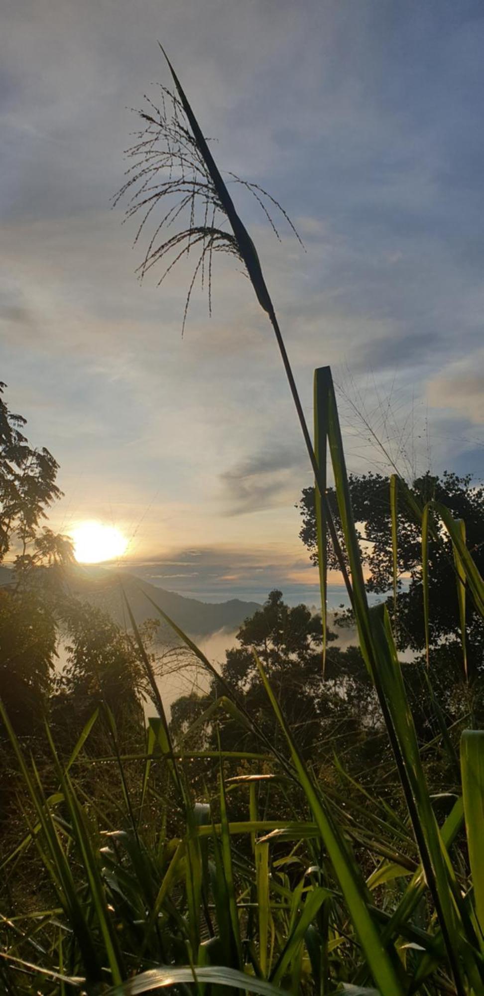 Himansa Homestay Ella Exteriér fotografie