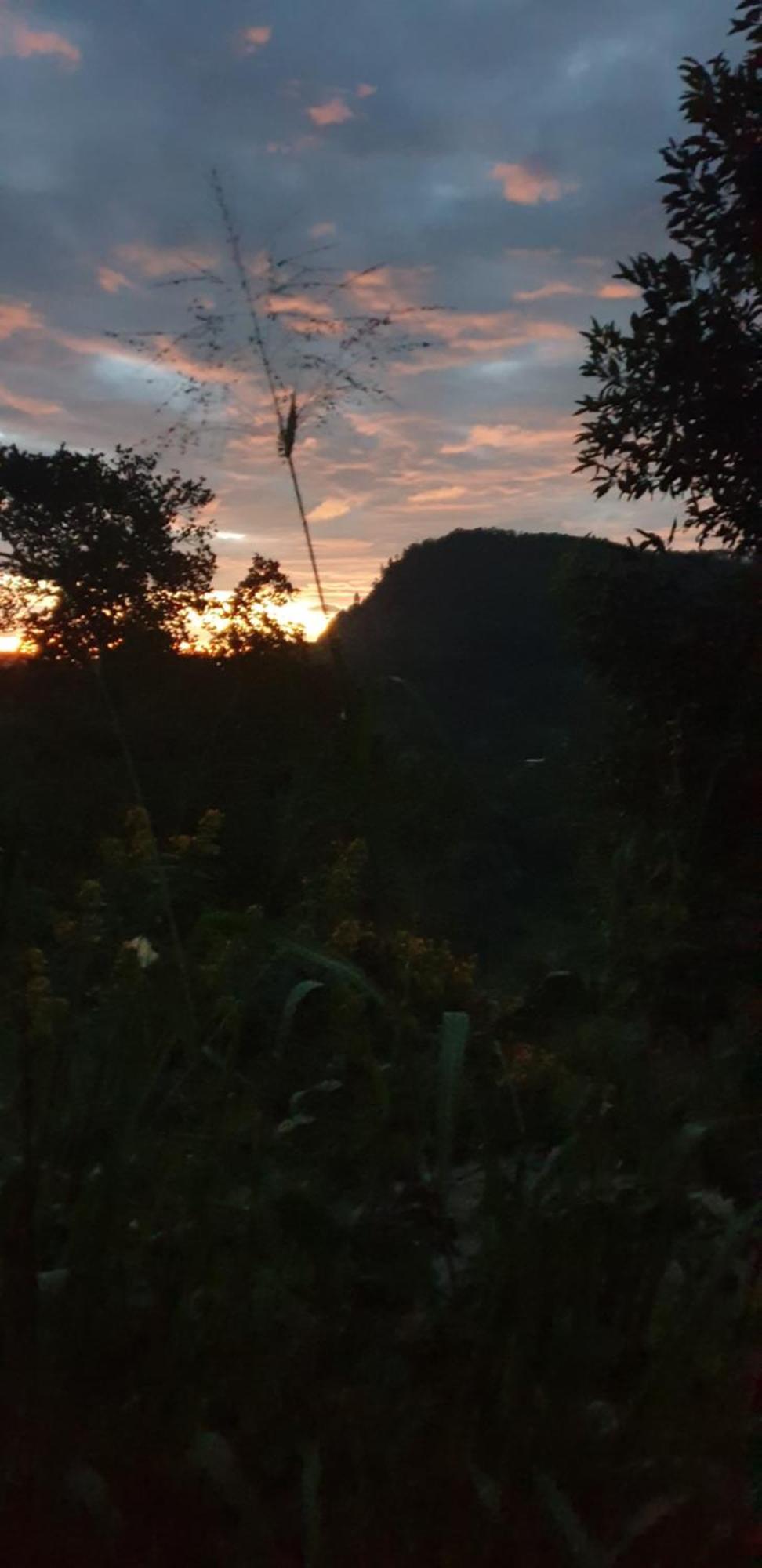 Himansa Homestay Ella Exteriér fotografie