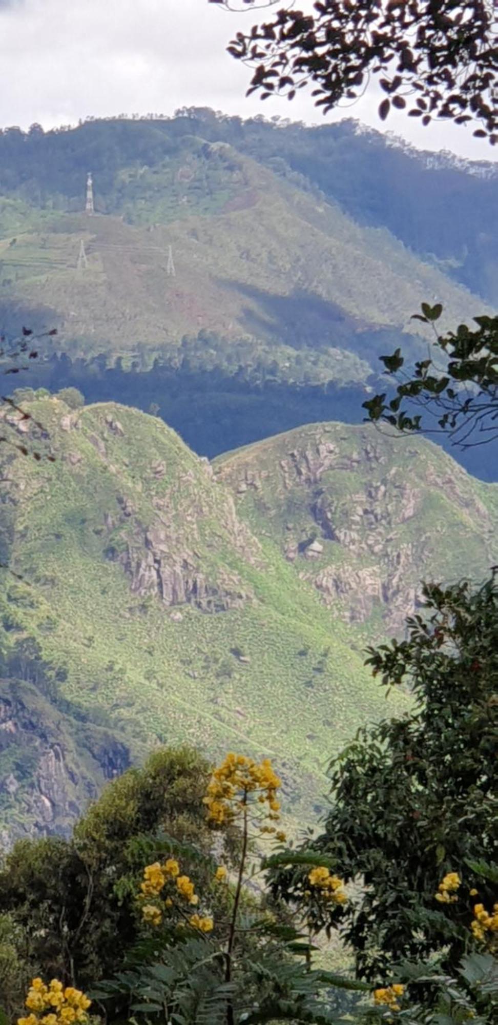Himansa Homestay Ella Exteriér fotografie