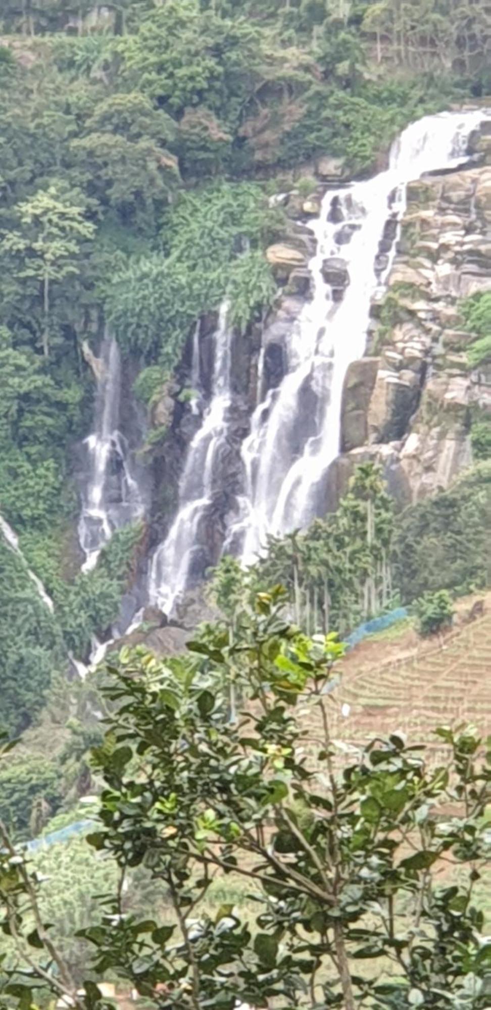 Himansa Homestay Ella Exteriér fotografie
