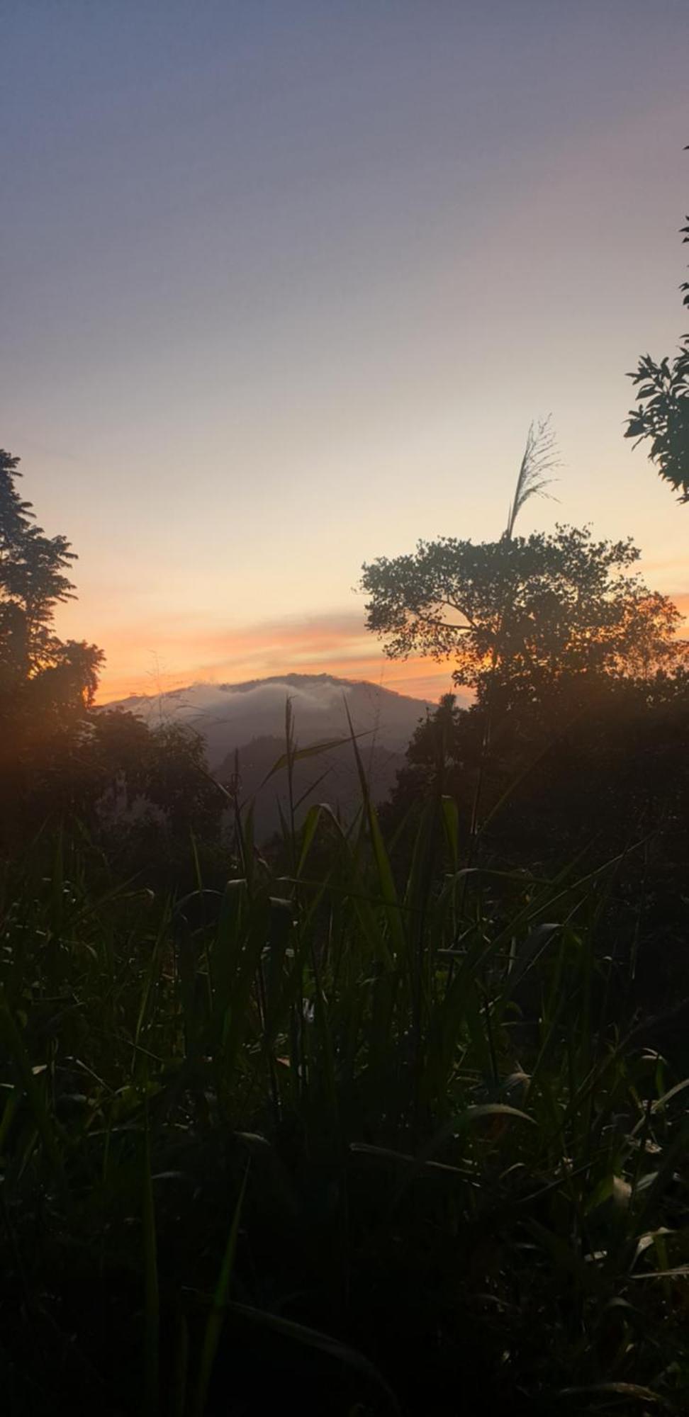 Himansa Homestay Ella Exteriér fotografie